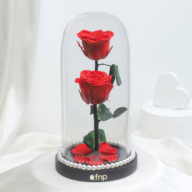 FNP Fresh Red Rose Bouquets