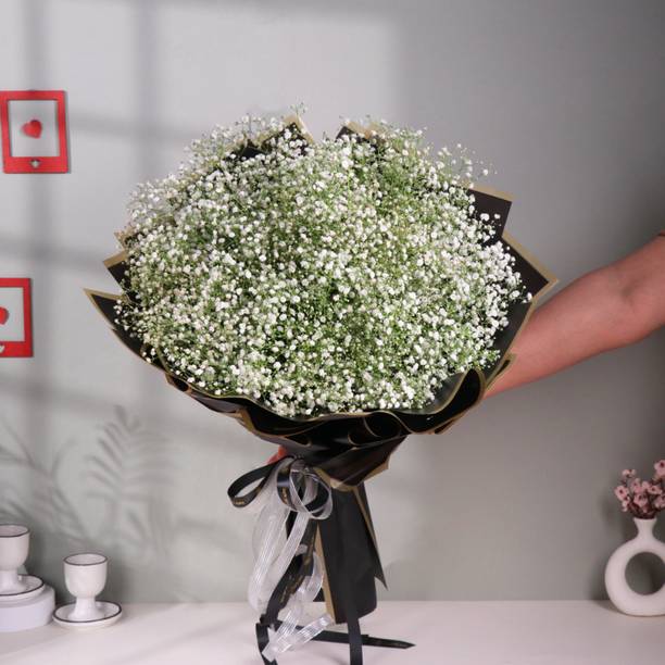 Floweraura Fresh Live Premium Flower Bouquet of White Gypso Bunch Flower Assorted Bouquets