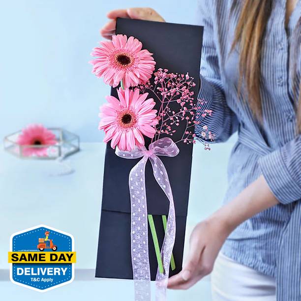 IGP Fresh Pink Gerberas Bouquets