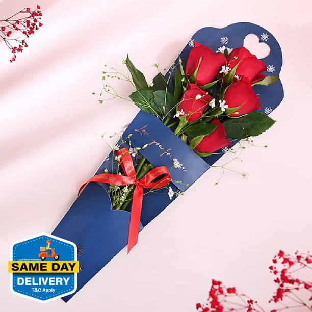 Floweraura Fresh Love Special Bunch of Fresh Live 5 Red Roses Flowers Bouquet In Sleeves Rose Bouquets