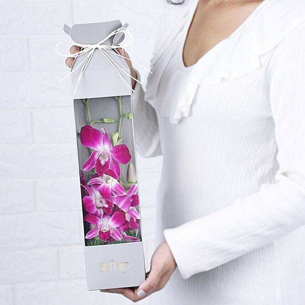 FNP Fresh Multicolor Orchids Bouquets