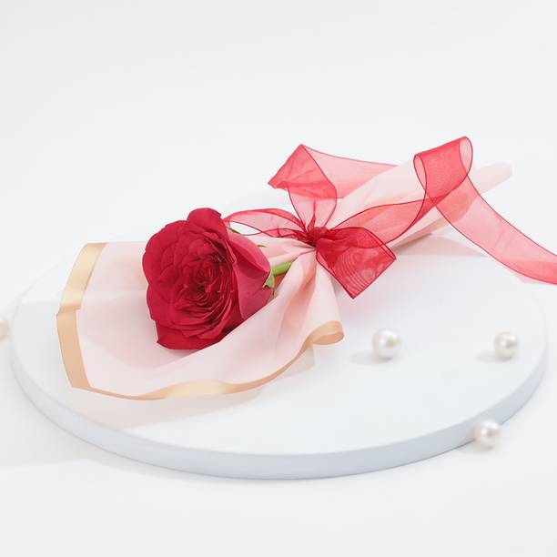 IGP Fresh Multicolor Rose Bouquets