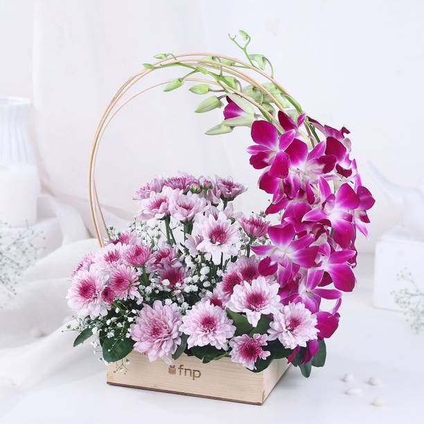 FNP Fresh Purple Orchids, Daisy Bouquets
