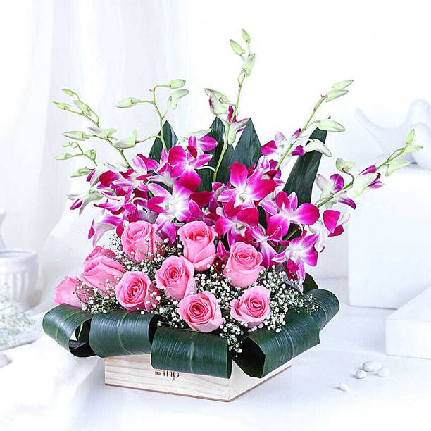 FNP Fresh Multicolor Roses Bouquets