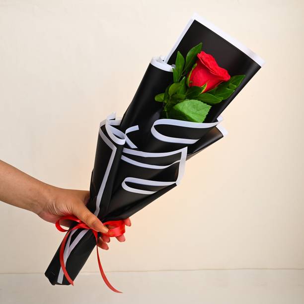 Floweraura Fresh Live Flower Bouquet of Single Red Rose Flower Roses Bouquets