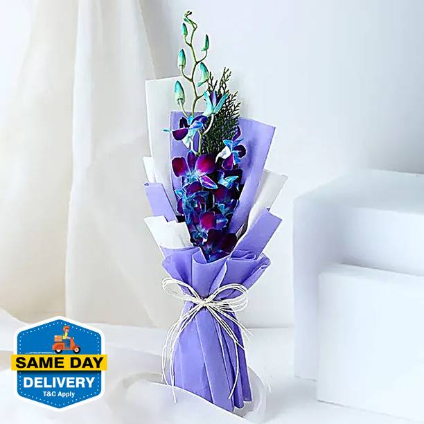 FNP Fresh Blue Orchids Bouquets