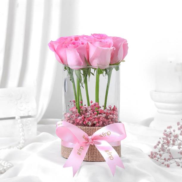 Fresh Aqua Pink Rose Bouquet (7 Roses) with Gypsophila in Glass Vase Fresh Pink Rose Bouquets