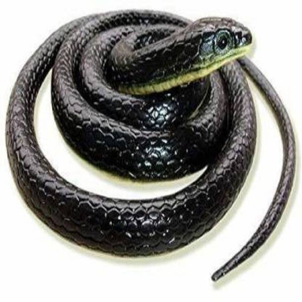 DSR SHOP Pack of -1 Toys & Gifts Rubber Snakes Prank Toy snack Gag Toy