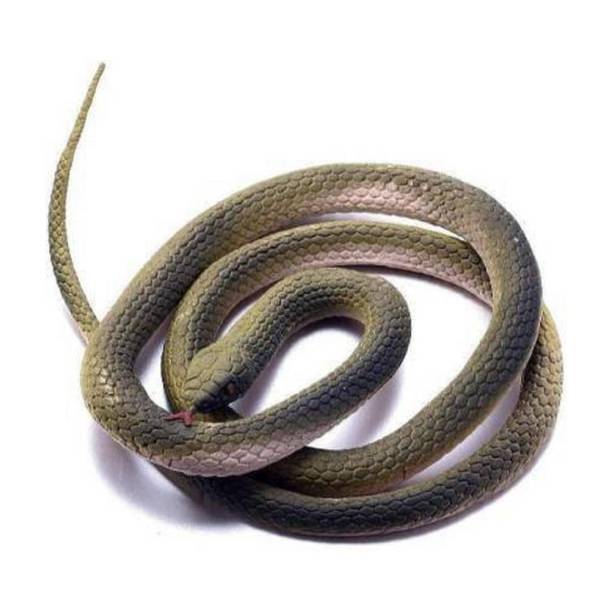 s yuvraj Fake Snake Gig Toy Snake Gag Toy (Multicolor) snake Gag Toy