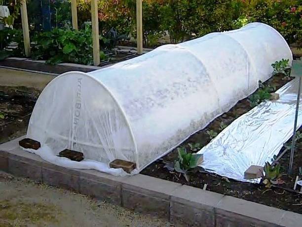 AGRITECH Crop cover 17 GSM 5.25 Feet width 400 meter length Plant protection cover Garden Mulch