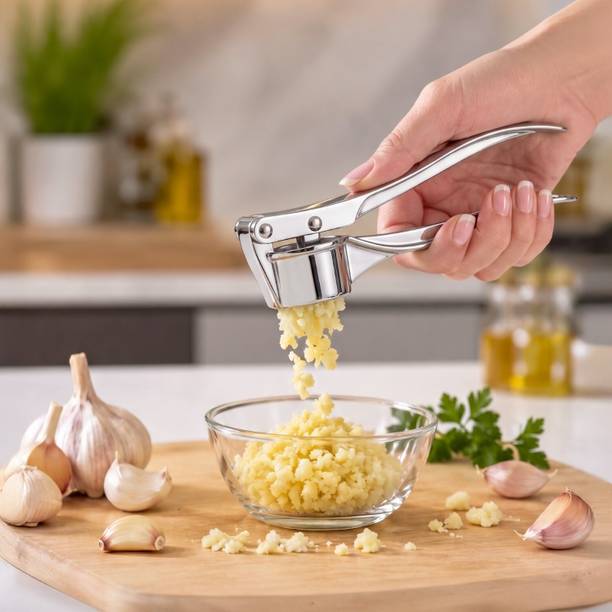Nestasia Stainless Steel Garlic Press -Manual Easy-Squeeze Ginger Mincer for Kitchen Garlic Press