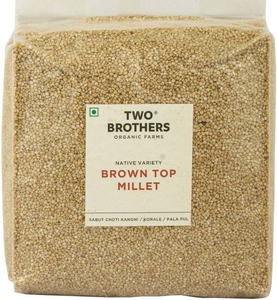Two Brothers Organic Farms BrownTop Millet Browntop Millet