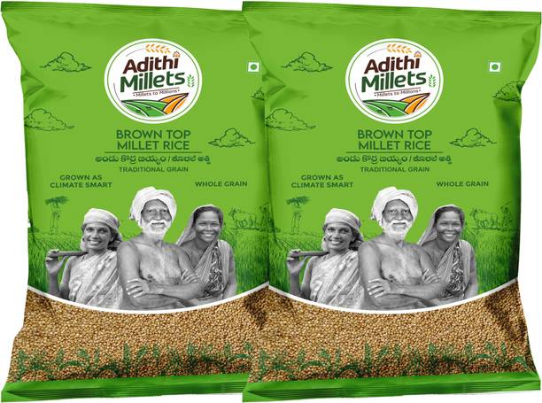 Adithi Millets Siridhanya Unpolished ORGANIC BROWNTOP MILLET positive grain pack of(500gm*2Pac) Browntop Millet
