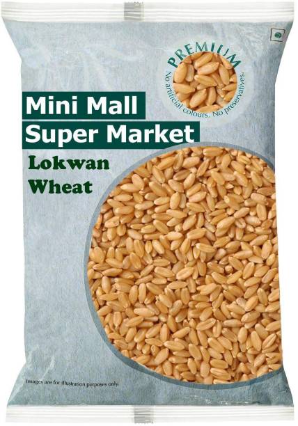 MINIMALL SUPER MARKET Organics Superior Lokwan Wheat Loose Whole Wheat