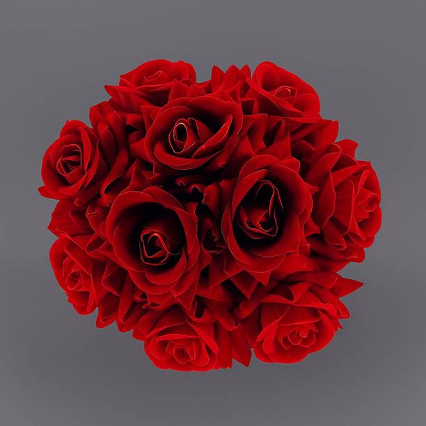 Views Pack Of 1 Beautiful Bridal Bun Juda Maker Flower Gajra Hair Accessories (Red) Hair Accessory Set