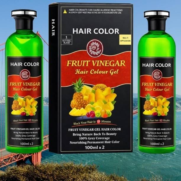 NKB Fruit Vinegar(100ml x 2) Hair Color Gel Natural Hair Color Dye ABC-26 , Black