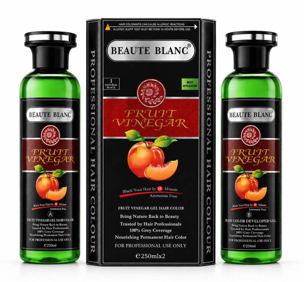 BEAUTE BLANC Fruit Vinegar Gel Hair Color - Black Your hair in 10 Min - 250ml X 2 , Natural Black