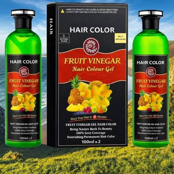 NKB Fruit Vinegar(100ml x 2) Hair Color Gel Natural Hair Color Dye ABC-23 , Black