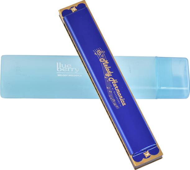 BLUEBERRY H-2401-Blue 24 Holes Key C Mouth Organ | 48 Tone | With Case, Harmonica