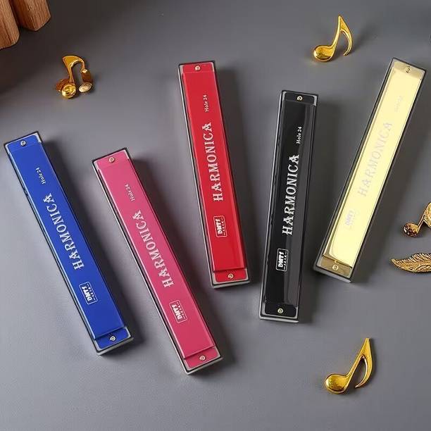 Sv Enterpise 24 Hole Diatonic Harmonica