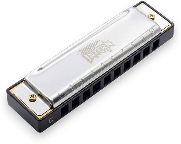 intern Mouth Organ Key C 10 Holes Diatonic Harmonica Professionals and Beginners