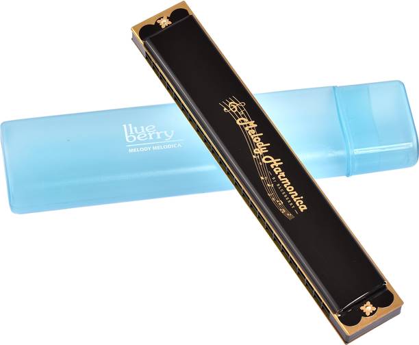 BLUEBERRY H-2401-Black 24 Holes Key C Mouth Organ | 48 Tone | With Case Harmonica