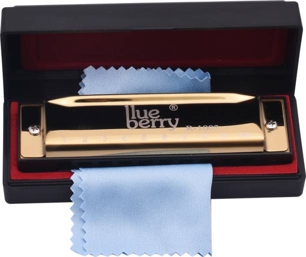 BLUEBERRY R-1003 Key of C 10 Holes 20 Tones Blues Harp Diatonic Gold Mouth Organ Harmonica