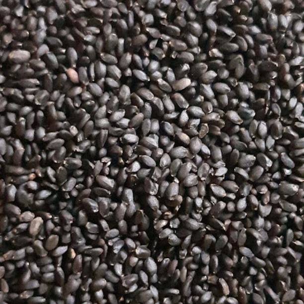 Aero Seeds Raw Basil Seeds, Sabja Seeds, Tukmariya Seeds Seed Seed