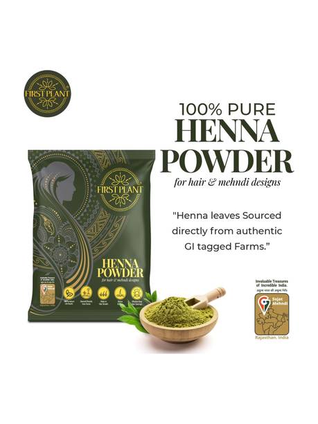 FIRST PLANT Natural Rajasthani Henna Powder | Herbal Heena Mehendi Powder for Hair Coloring