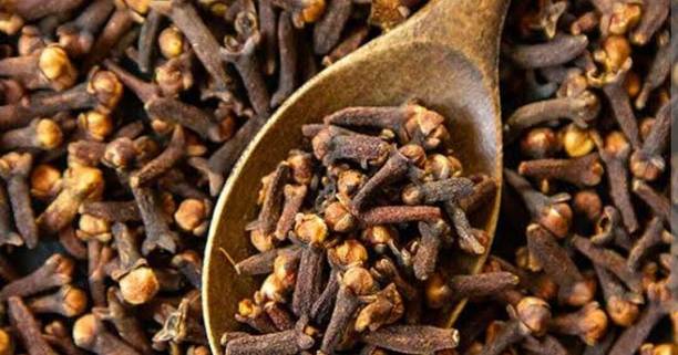 sarvadhya SARVADHYA Clove (sabut laung 100g)