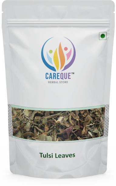 CareQue Tulsi Patta - Basil Leaf - Basil Leaves - Ocimum sanctum