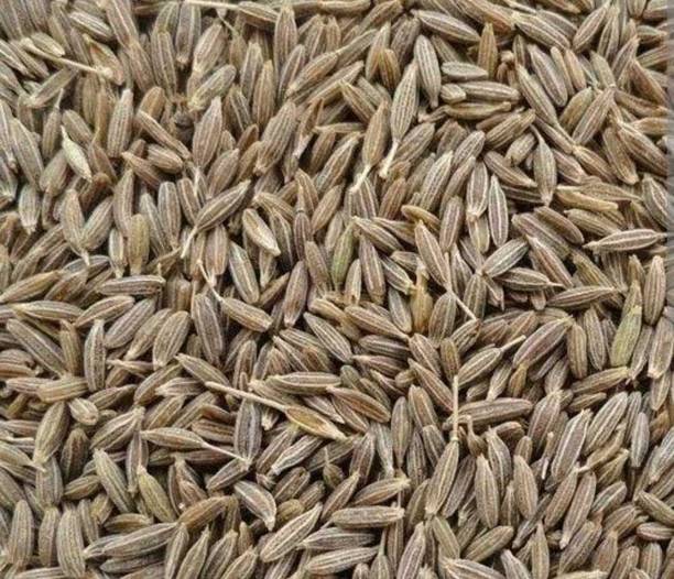 sarvadhya SARVADHYS JEERA SEED Cumin seed