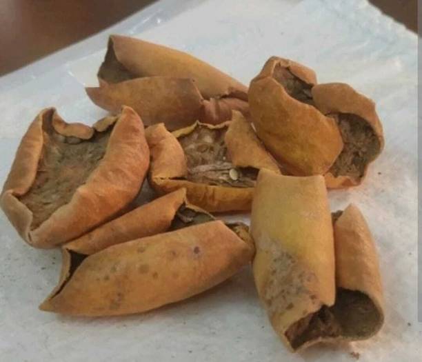 sarvadhya INDRAYAN PHAL ( 200 GM )