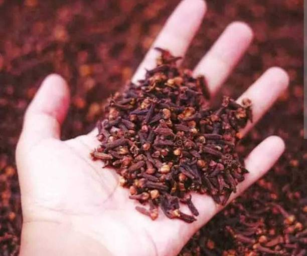sarvadhya cloves (laung) ( 200 gm )