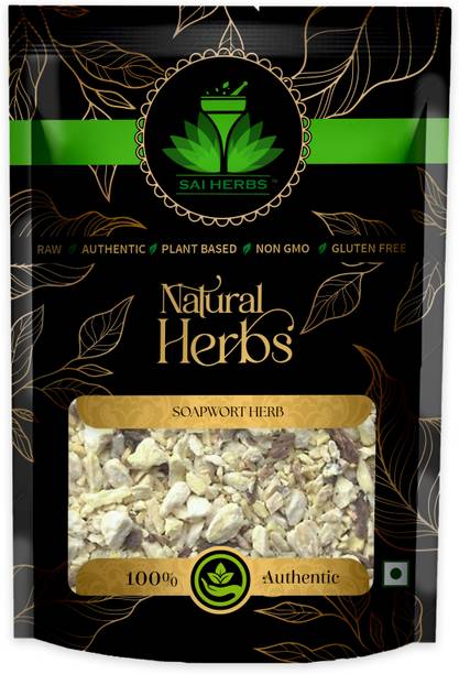 SAI HERBS Soapwort Herb - Pure & Natural
