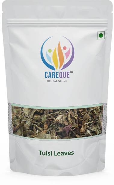 CareQue Tulsi Patta - Basil Leaf - Basil Leaves - Ocimum sanctum