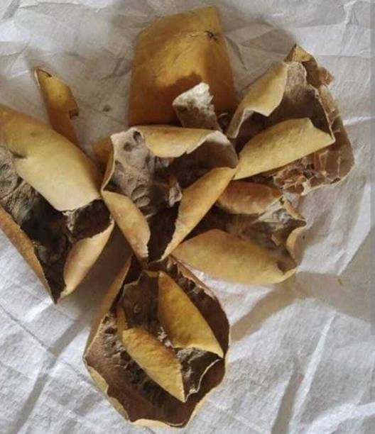 sarvadhya INDRAYAN PHAL ( 250 GM )