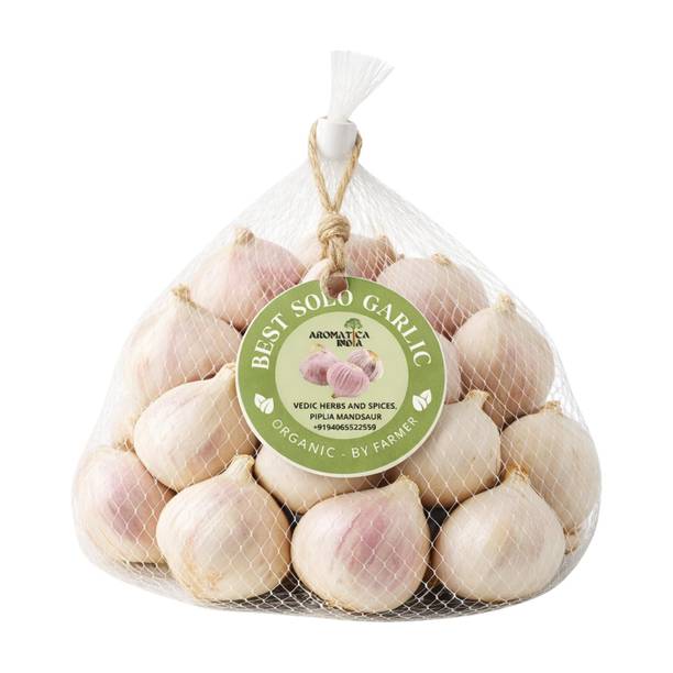 Aromatica India Single Clove Garlic Ekal kuli lehsun Ek pothi