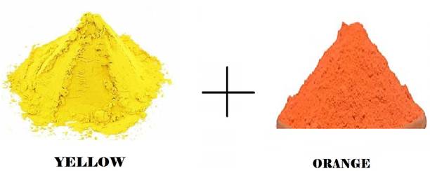 ABN Holi Color Powder Pack of 2