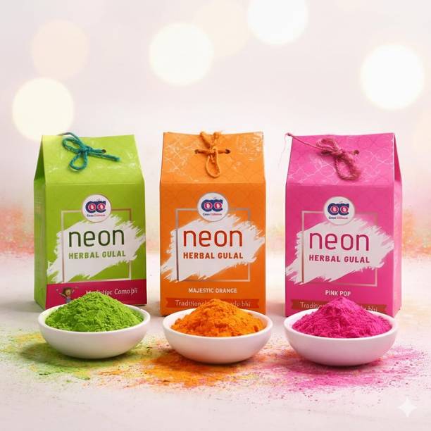 TOYZENZY Holi Color Powder Pack of 3