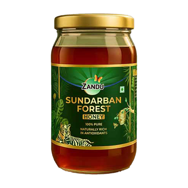 ZANDU Sundarban Forest Honey I 100% Pure I Rich in Antioxidants (500 g)