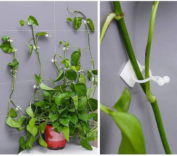 FLUZOV Plant Hook_P4 Hook 30