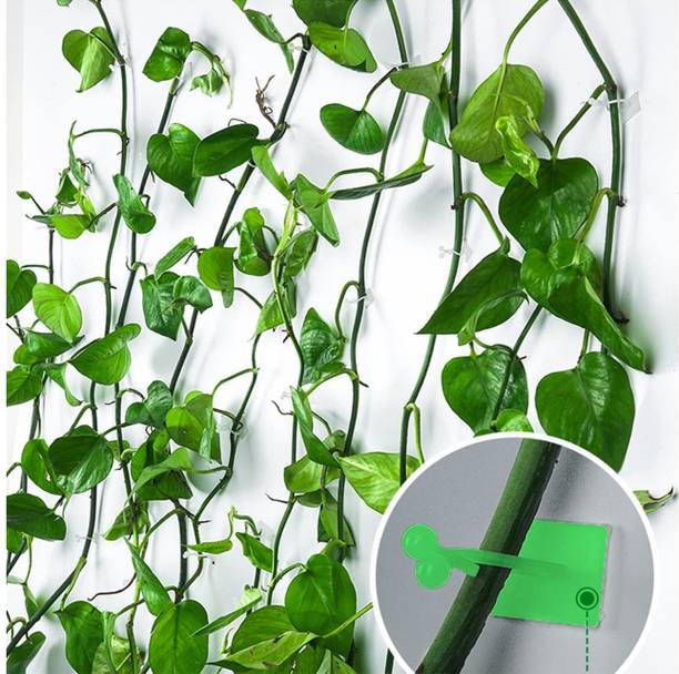 FLUZOV Plant Hook_P16 Hook 30