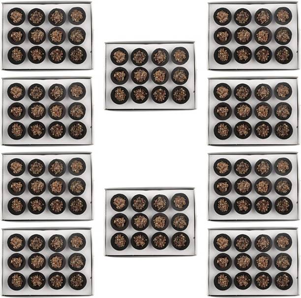 Airofine Fragrance Special Pure Sambrani Guggal Loban Dhoop Cup 10 pack Guggul