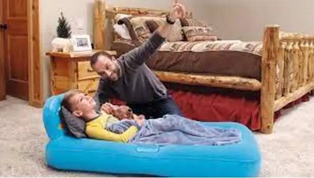 HornFlow Other Inflatable Mattress Camping Air Bed for Sleeping Car Vinyl 1 Seater Inflatable Sofa