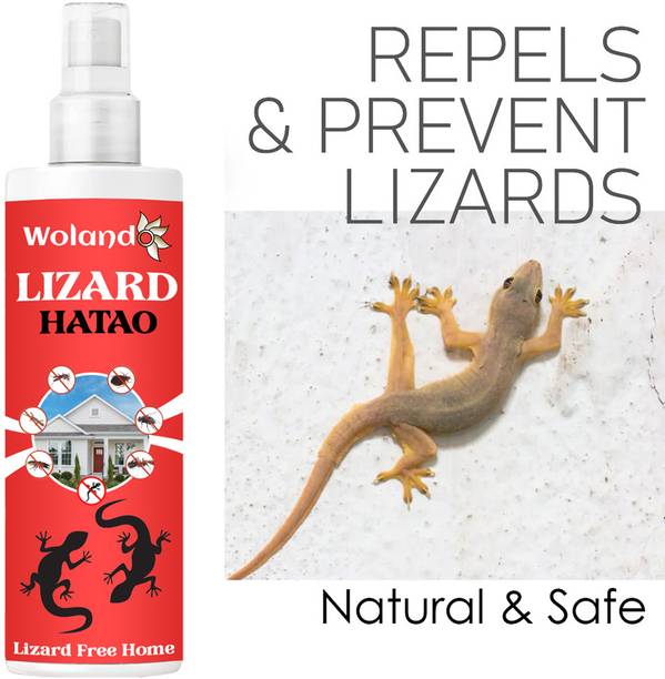 REGLET Lizard Hatao All Bug Cleaner From Home