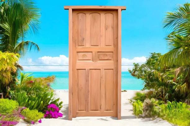 La Furniture Indian Hand Made Classic Design 8 Pannel Mahogany Wooden Door Palla With Frame Interior Door