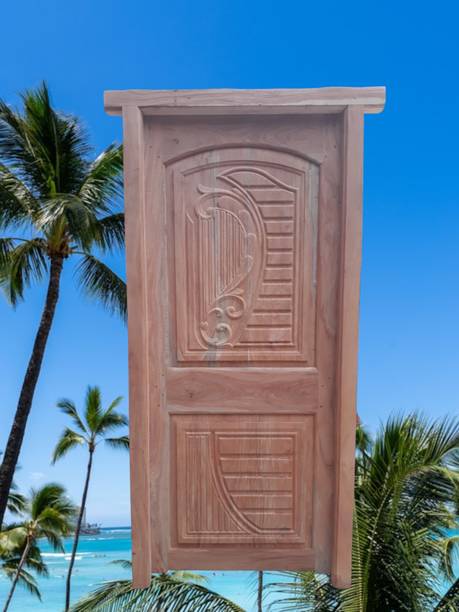 Howrah timber NEM2 PANL Interior Door