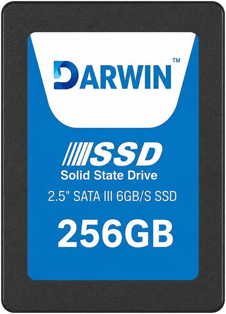 Darwin DARWIN E100 Series 256 GB Laptop, Desktop Black SATA Internal Solid State Drive (SSD) (E100-256GB)