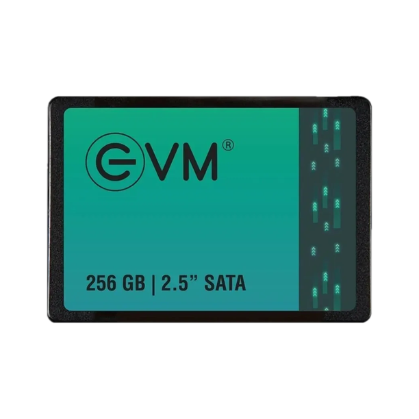 EVM EVM25 256 GB All in One PC's, Desktop, Laptop Black SATA Internal Solid State Drive (SSD) (EVM25/256GB)